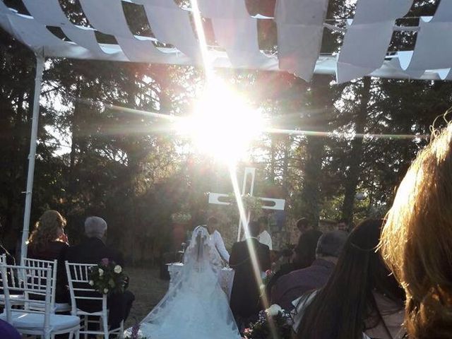 La boda de Jesús y Fabiola en Xochimilco, Ciudad de México 20