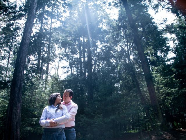 La boda de Daniel y Lucy en Xochimilco, Ciudad de México 1