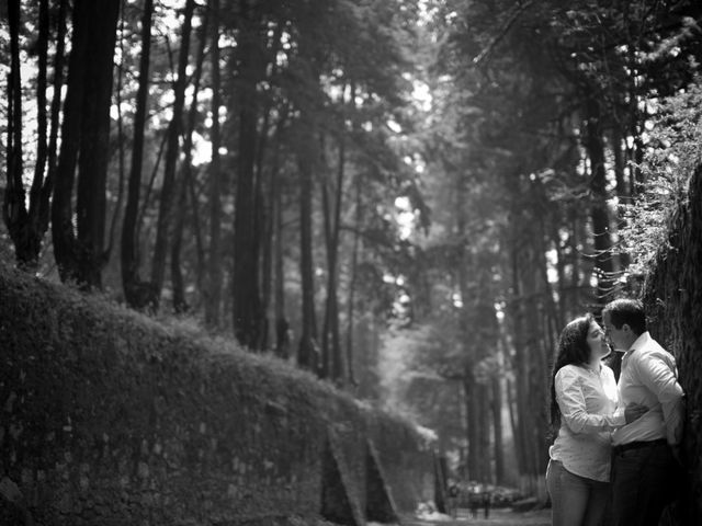 La boda de Daniel y Lucy en Xochimilco, Ciudad de México 7