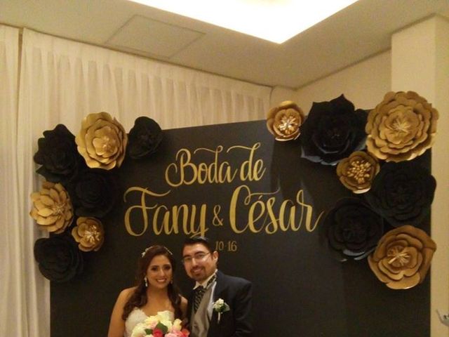 La boda de Cesar y Fany en Monterrey, Nuevo León 6