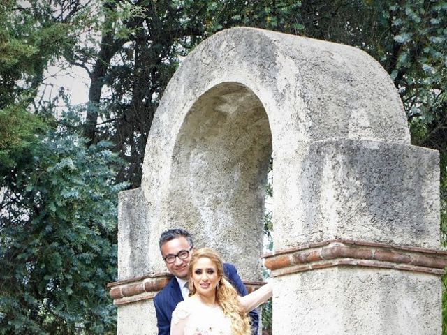 La boda de Mario y Lili en Omitlán de Juárez, Hidalgo 17