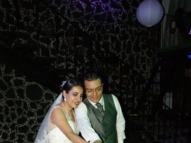 La boda de David y Karina en Tlalpan, Ciudad de México 9