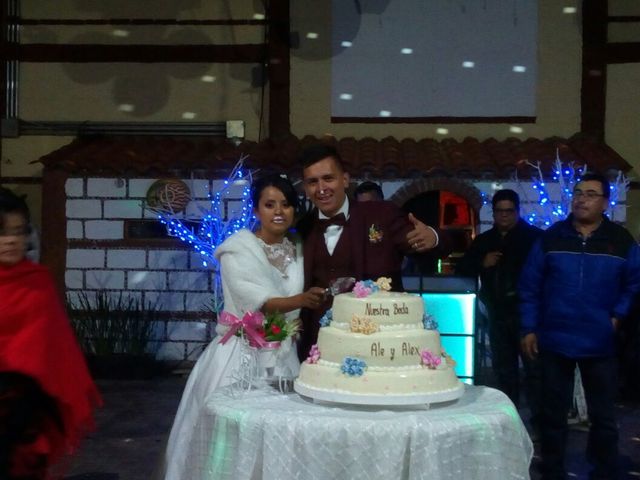 La boda de Alejandra de la Luz y Alejandro Simón en Chalco, Estado México 3