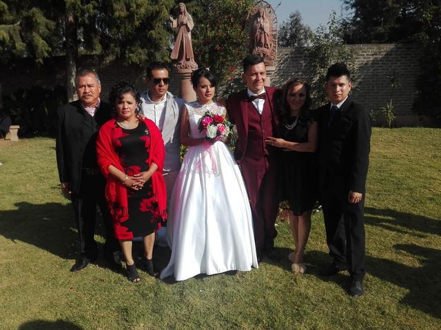 La boda de Alejandra de la Luz y Alejandro Simón en Chalco, Estado México 8