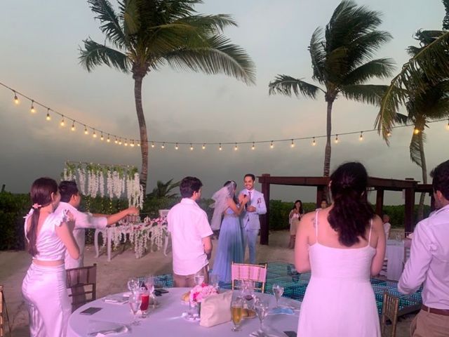 La boda de José Luis  y Danna en Playa del Carmen, Quintana Roo 1