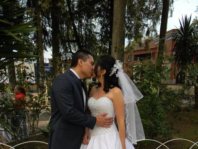 La boda de Héctor y Diana en Apetatitlán de Antonio Carvajal, Tlaxcala 5