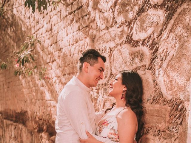 La boda de Tirso y Edhane  en Aguascalientes, Aguascalientes 15