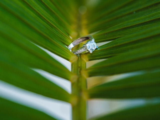 La boda de Amando y Hatshiry en Las Varas, Nayarit 1