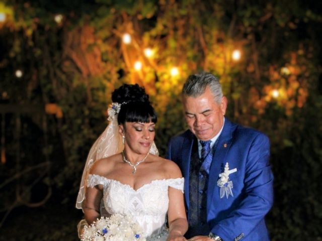 La boda de Raúl  y Lupita  en Cuautitlán, Estado México 6