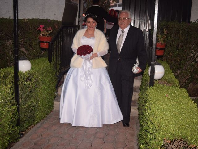 La boda de Guillermo y Ariadna en Coacalco, Estado México 10