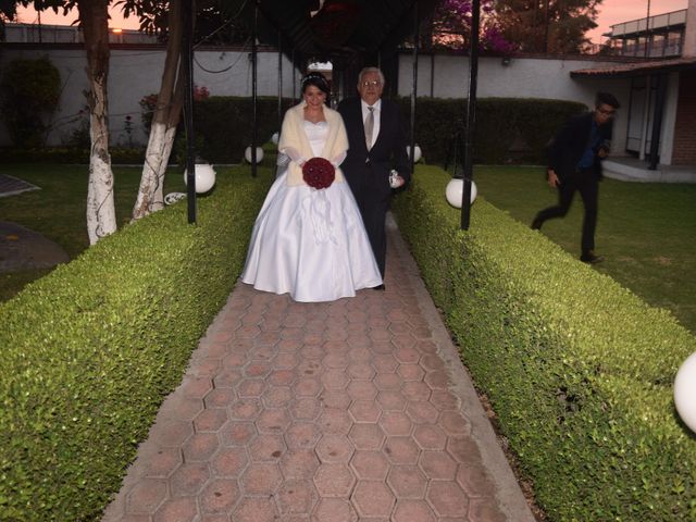 La boda de Guillermo y Ariadna en Coacalco, Estado México 11
