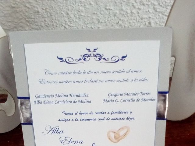 La boda de Alejandro y Elena  en Villahermosa, Tabasco 7