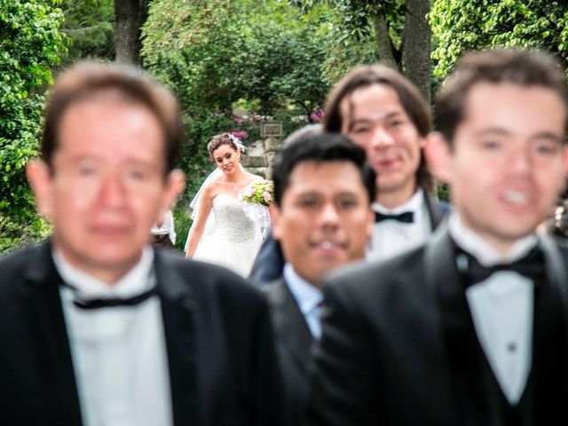 La boda de Luis y Diana en Tlalpan, Ciudad de México 17
