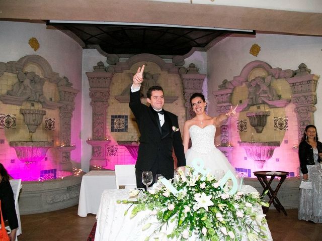 La boda de Luis y Diana en Tlalpan, Ciudad de México 39
