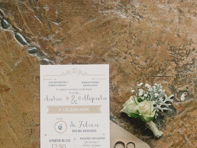 La boda de Alex y Andrea en Jiutepec, Morelos 7
