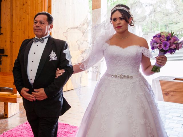 La boda de Rafael y Carolina en Coyoacán, Ciudad de México 14