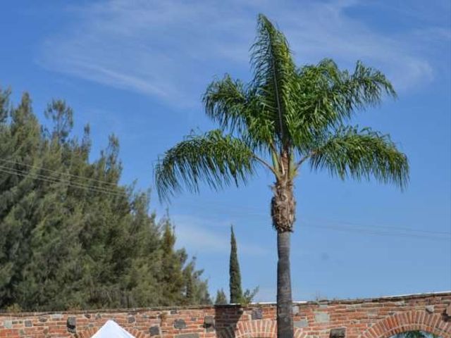 La boda de Rogelio y Paulina en Zapopan, Jalisco 251