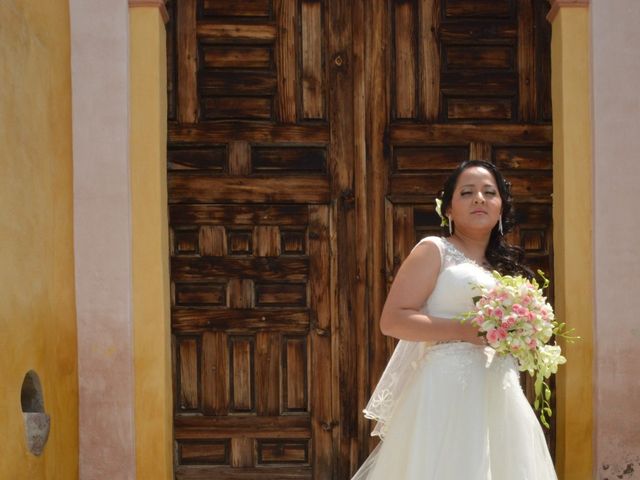 La boda de Ricardo y Adriana en Xochimilco, Ciudad de México 4
