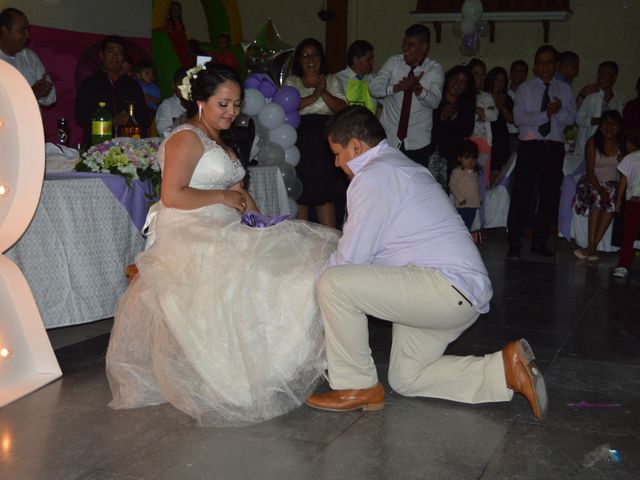 La boda de Ricardo y Adriana en Xochimilco, Ciudad de México 15