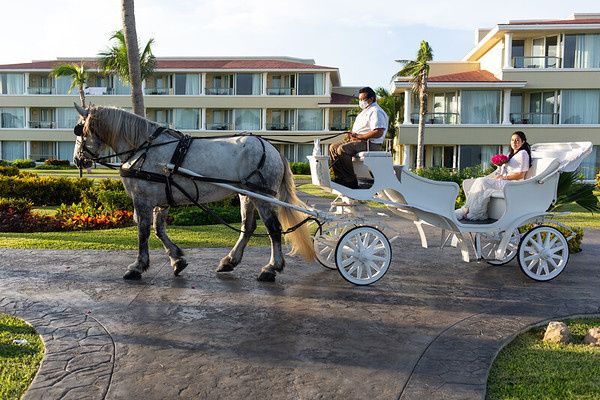 La boda de Alexander  y Lizbeth  en Cancún, Quintana Roo 21