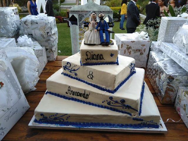 La boda de Armando  y Diana en Jiutepec, Morelos 6