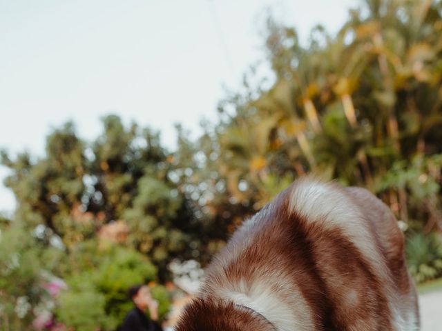 La boda de Loui y Yaz en Oaxtepec, Morelos 23