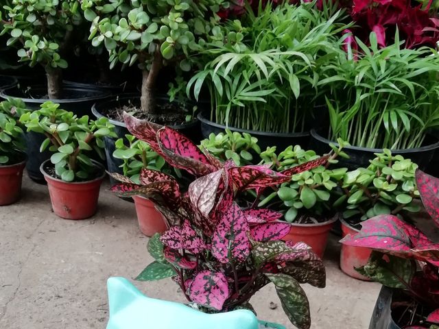 La boda de Miguel Ángel y Cynthia en Cuauhtémoc, Ciudad de México 3