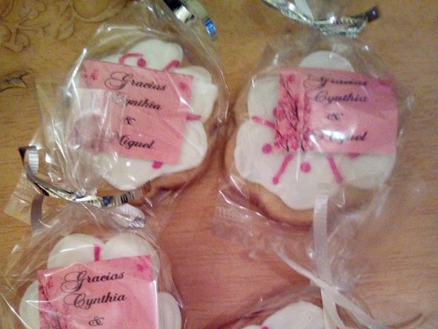 La boda de Miguel Ángel y Cynthia en Cuauhtémoc, Ciudad de México 19