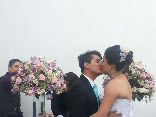 La boda de  Carlos Alberto y María Guadalupe  en Pachuca, Hidalgo 14