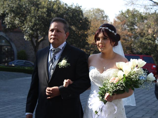 La boda de Luis y Karla en Tlalpan, Ciudad de México 6