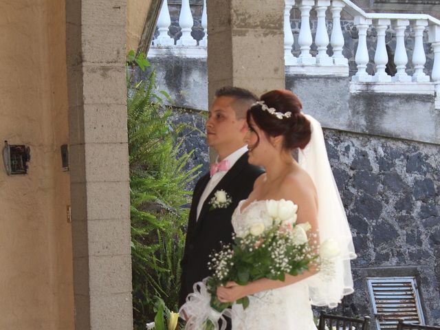 La boda de Luis y Karla en Tlalpan, Ciudad de México 10