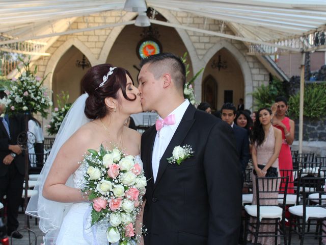 La boda de Luis y Karla en Tlalpan, Ciudad de México 19