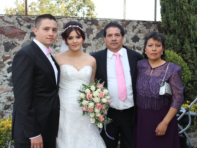 La boda de Luis y Karla en Tlalpan, Ciudad de México 20