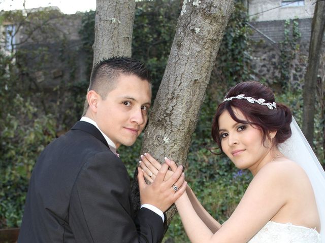 La boda de Luis y Karla en Tlalpan, Ciudad de México 28