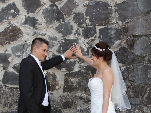 La boda de Luis y Karla en Tlalpan, Ciudad de México 33