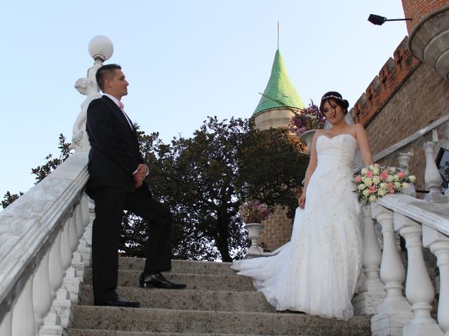 La boda de Luis y Karla en Tlalpan, Ciudad de México 35