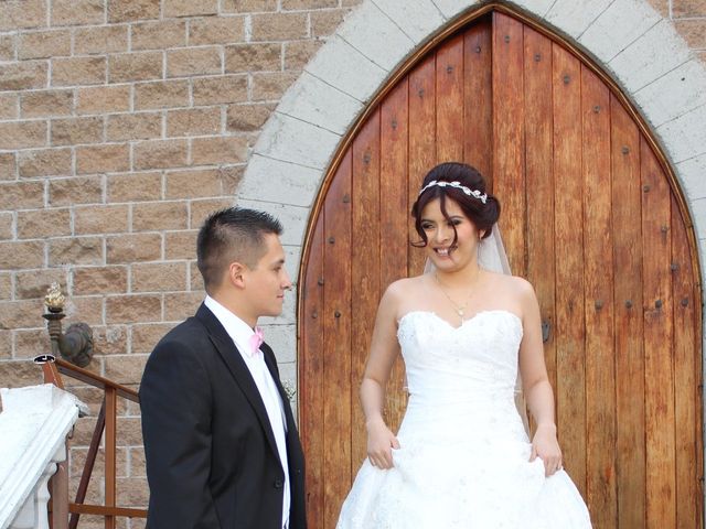 La boda de Luis y Karla en Tlalpan, Ciudad de México 37
