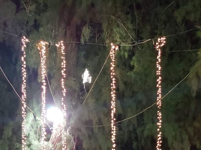 La boda de Héctor y Alejandra en Torreón, Coahuila 9