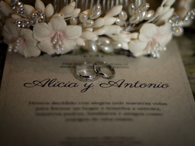 La boda de Antonio y Alicia en Guadalajara, Jalisco 6