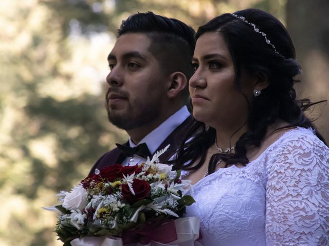 La boda de Daniel y Vanessa en Tlalpan, Ciudad de México 35