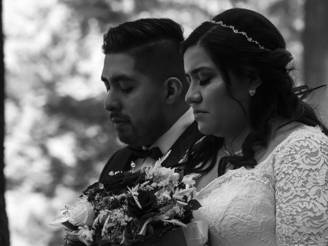 La boda de Daniel y Vanessa en Tlalpan, Ciudad de México 36