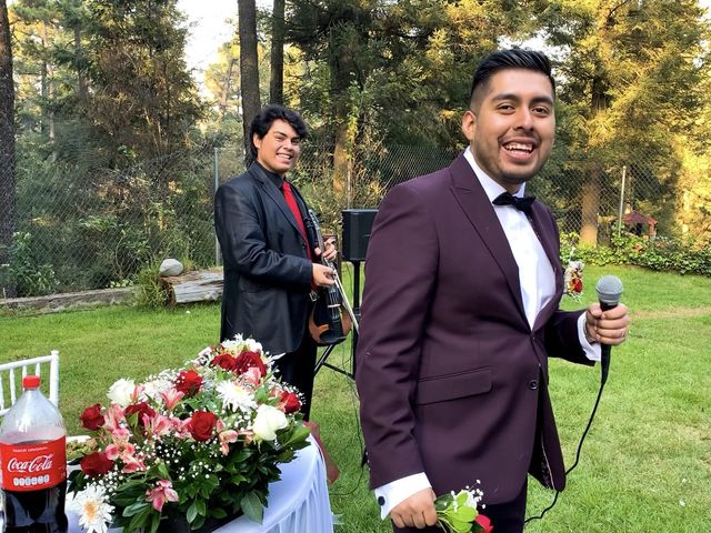 La boda de Daniel y Vanessa en Tlalpan, Ciudad de México 40