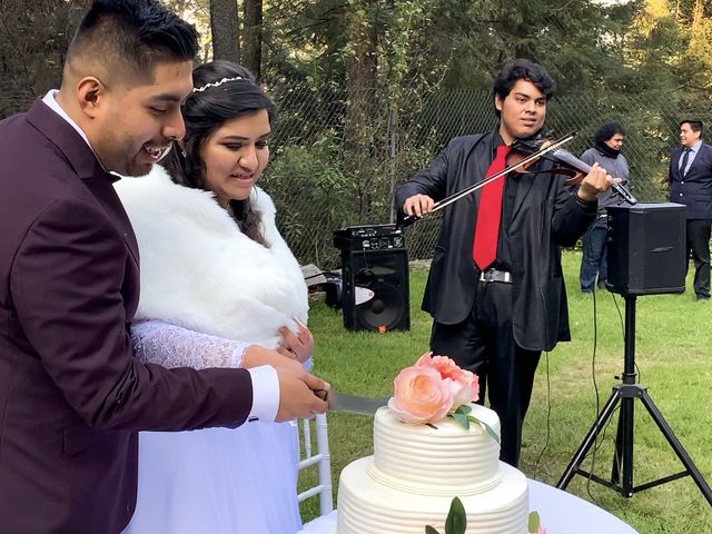 La boda de Daniel y Vanessa en Tlalpan, Ciudad de México 59