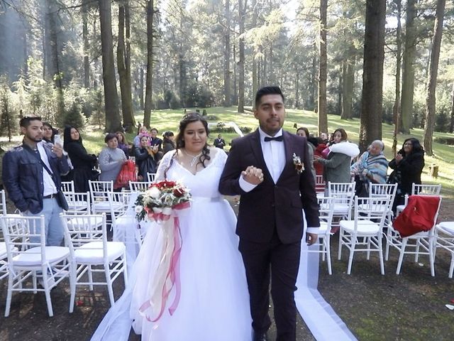 La boda de Daniel y Vanessa en Tlalpan, Ciudad de México 83