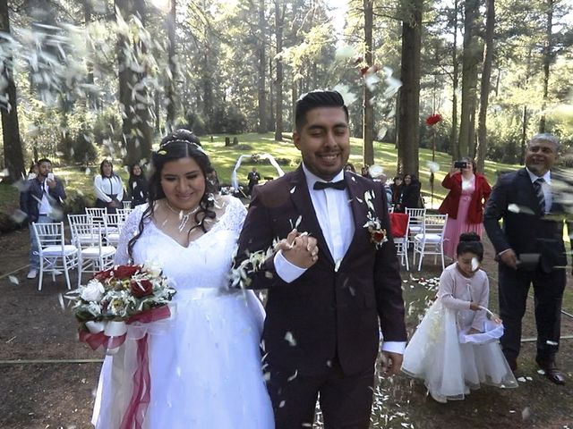 La boda de Daniel y Vanessa en Tlalpan, Ciudad de México 87