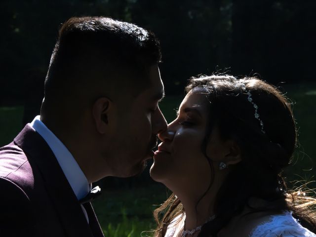 La boda de Daniel y Vanessa en Tlalpan, Ciudad de México 213