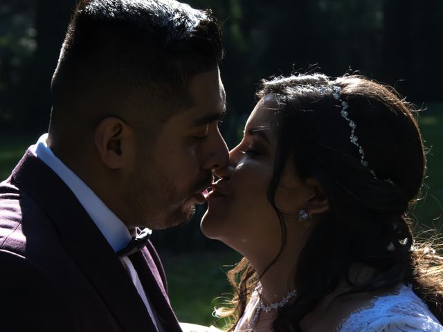 La boda de Daniel y Vanessa en Tlalpan, Ciudad de México 217