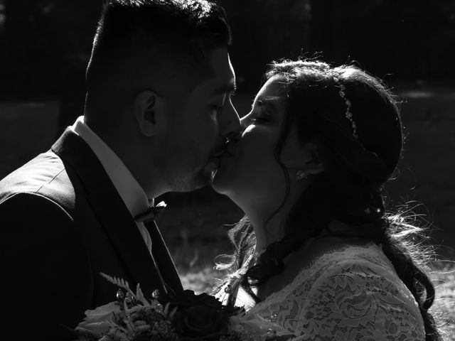 La boda de Daniel y Vanessa en Tlalpan, Ciudad de México 218