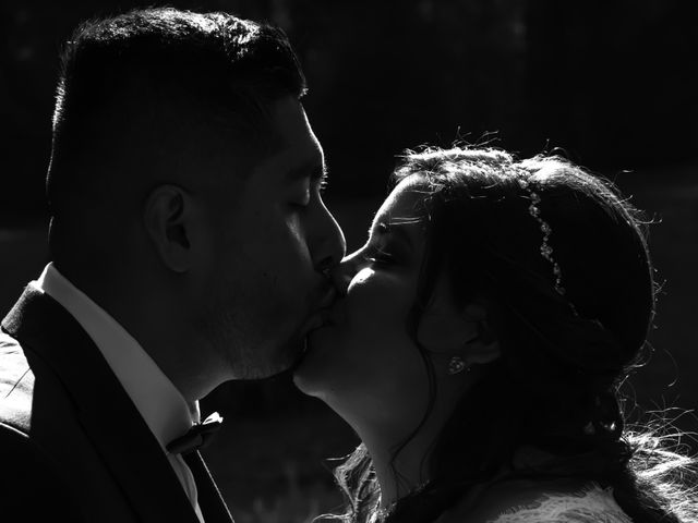 La boda de Daniel y Vanessa en Tlalpan, Ciudad de México 220