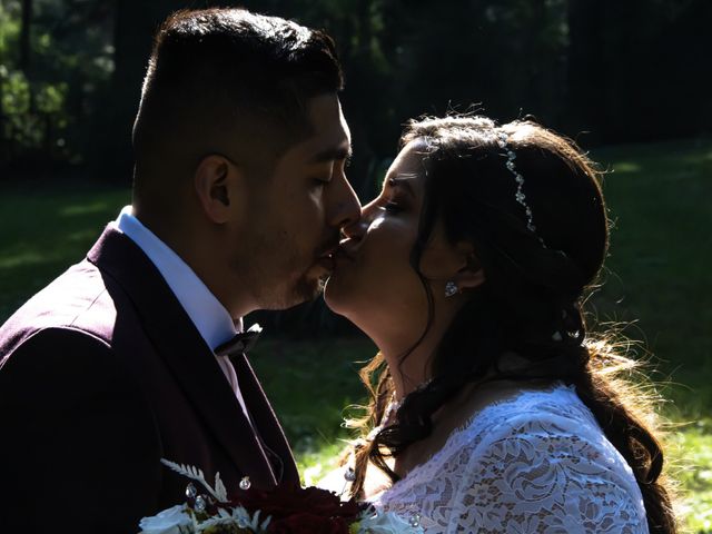 La boda de Daniel y Vanessa en Tlalpan, Ciudad de México 221